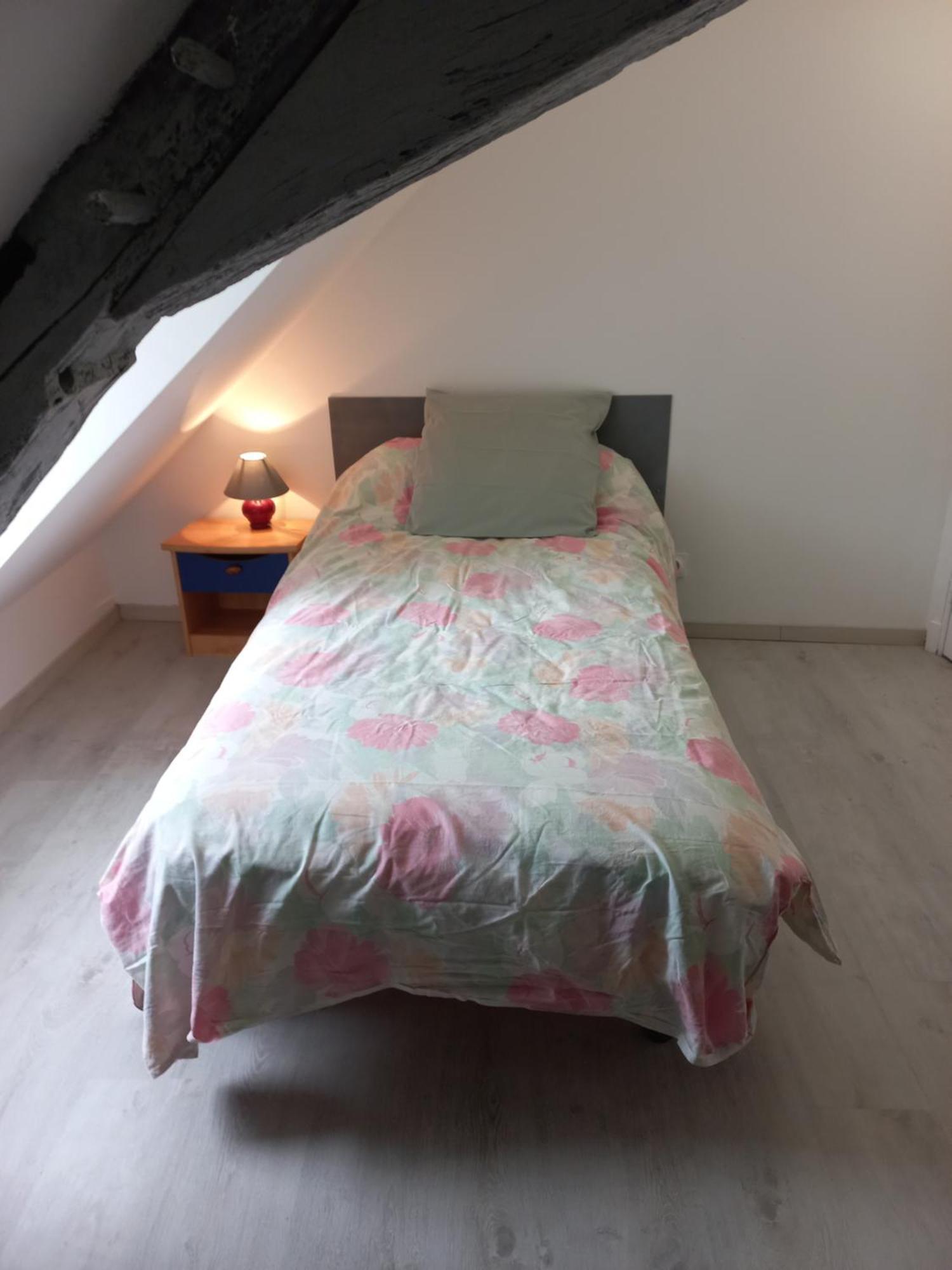 Agreable Maison De Ville Au Coeur De Chinon Exteriör bild